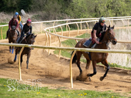 EL080425-4 - Gold Link (leading)